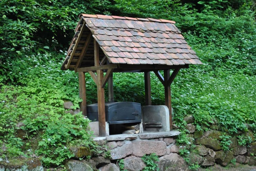 Le Saint Moulin De La Petite Pierre Lohr Exterior foto