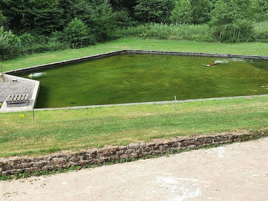 Le Saint Moulin De La Petite Pierre Lohr Exterior foto